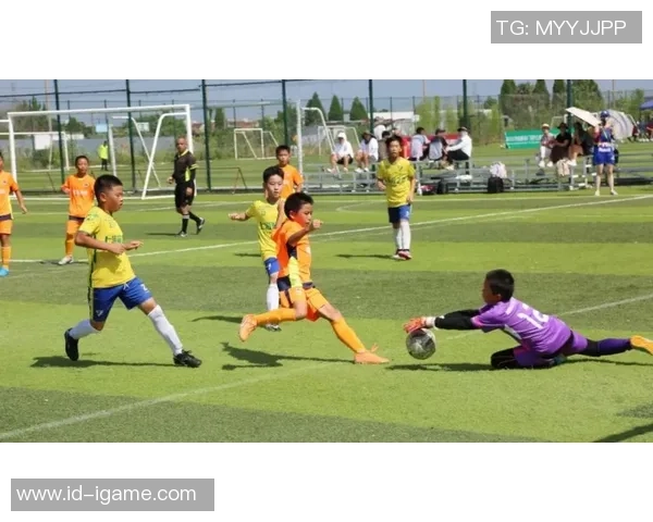 轮椅足球的魅力与挑战：助力残疾人展现运动精神与团队合作的精彩瞬间